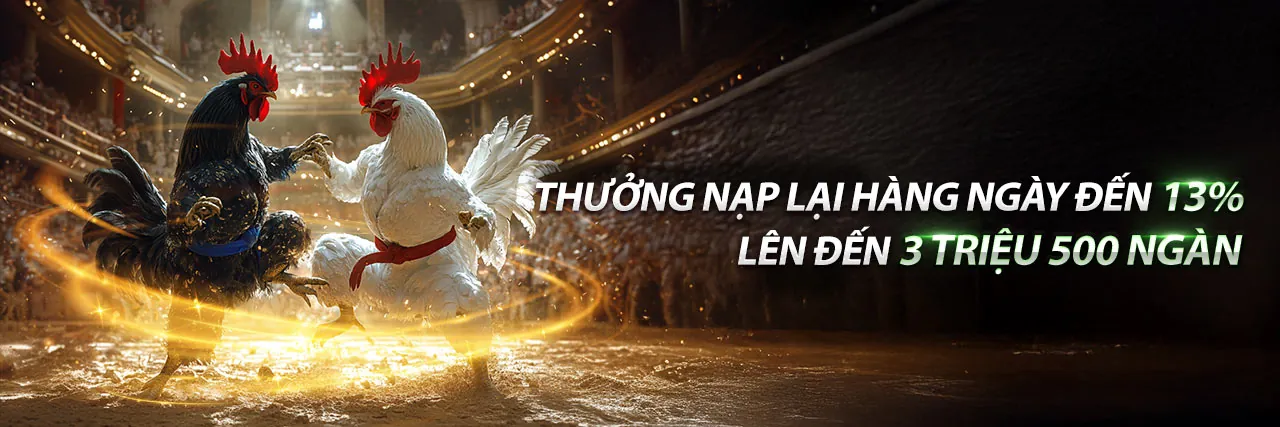 Đá gà trực tuyến kịch tính tại 56win casino