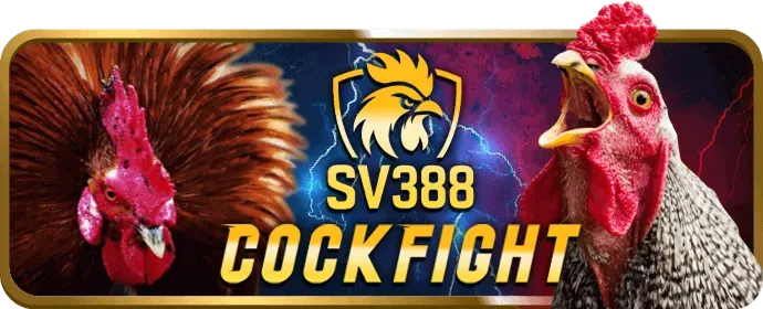 Bảo mật 56win Casino
